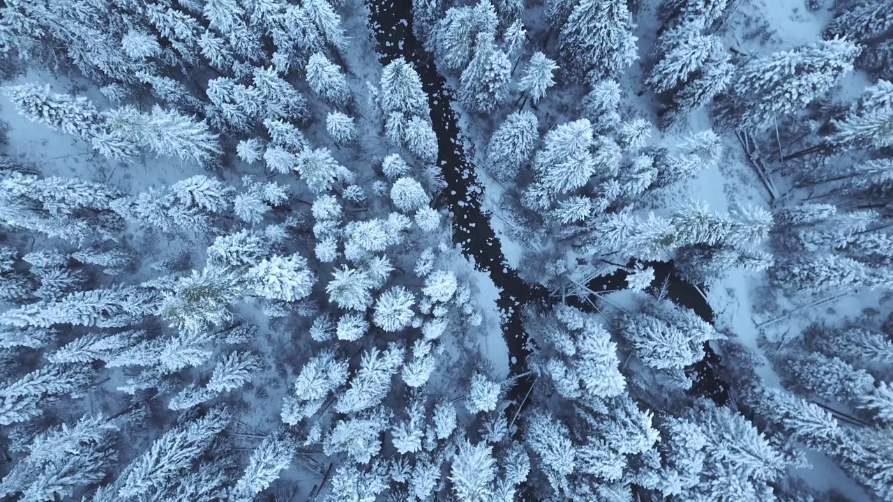 Stunning 4K Stock Footage | No Copyright Restrictions | Free to Use in Your Projects