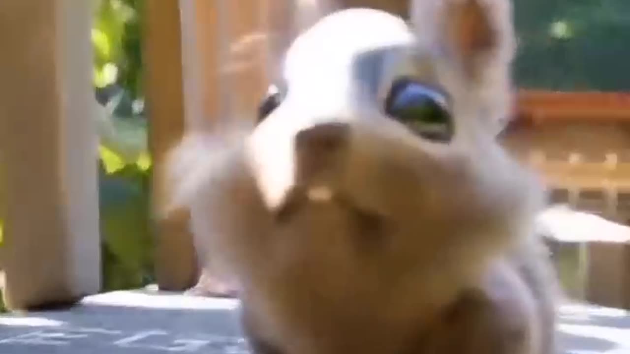 Funny Videosš¤£#ytshorts #shortvideo