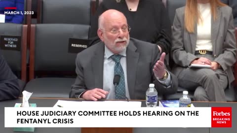 Matt Gaetz Grills Witness Over Past Tweet About Migrants ‘Not Violating Anyone’s Rights’