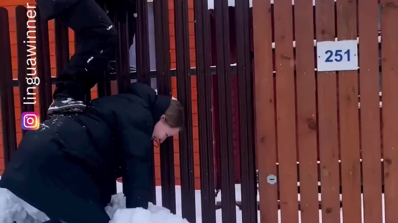 Short funny videos vol.2