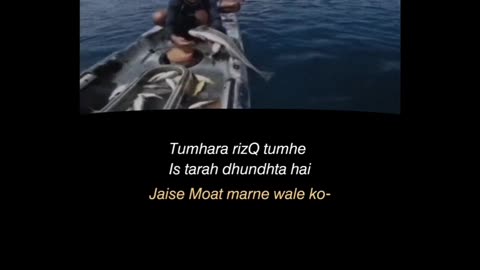 Funny fish