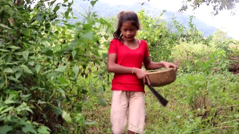 Survival skills: Find Natural fruits for food - Natural fruits eating delicious
