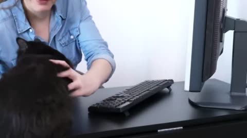 How do you know that cat love you...?
