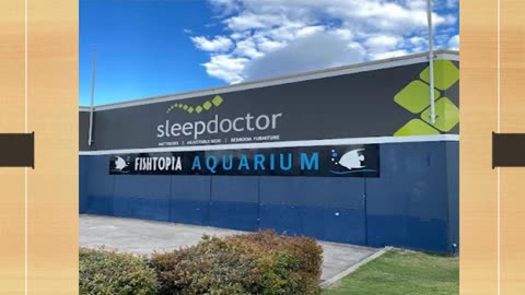 Best Car Wraps in Eagle Vale