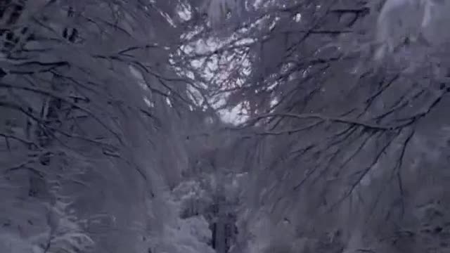 Beautiful nature