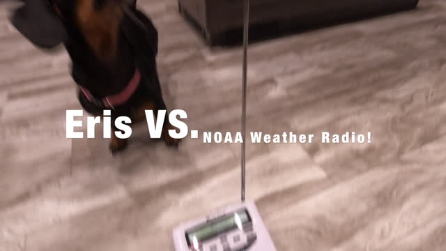 Eris V. NOAA Radio - Full time RV life (with dogs)