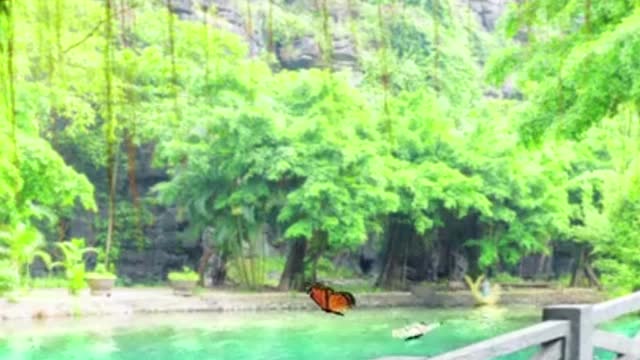 Beautiful Relaxing Music for Stress Relief, Meditation Music, Sleep Music, sleeping.#shorts#