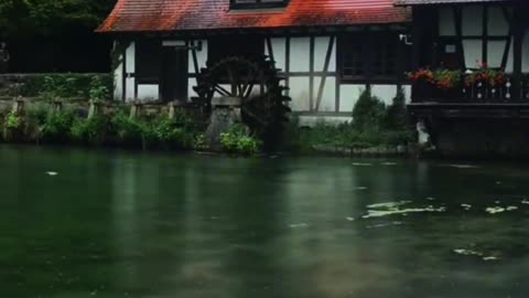 This reminds me of Hayao Miyazaki's anime
