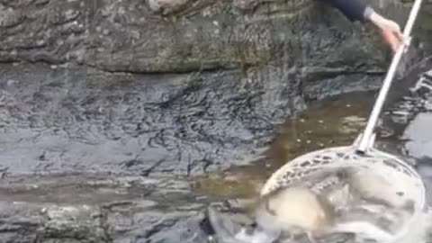 #fishing #funny #fyp #outdoors #wow wow wow🤣🤣🤣🤣🤣