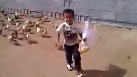 Funny hen end child