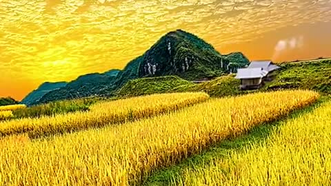 Shen Nong returned to his dream country