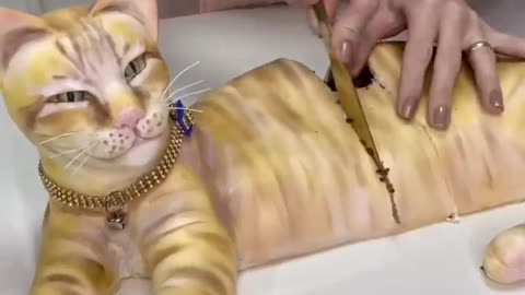 cat cake