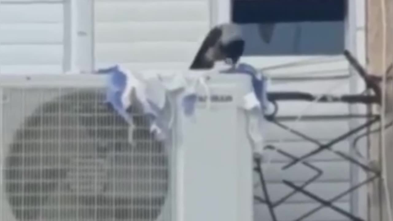 Witness a West snatching the flag of Israel and throwing it to the ground and tearing it up