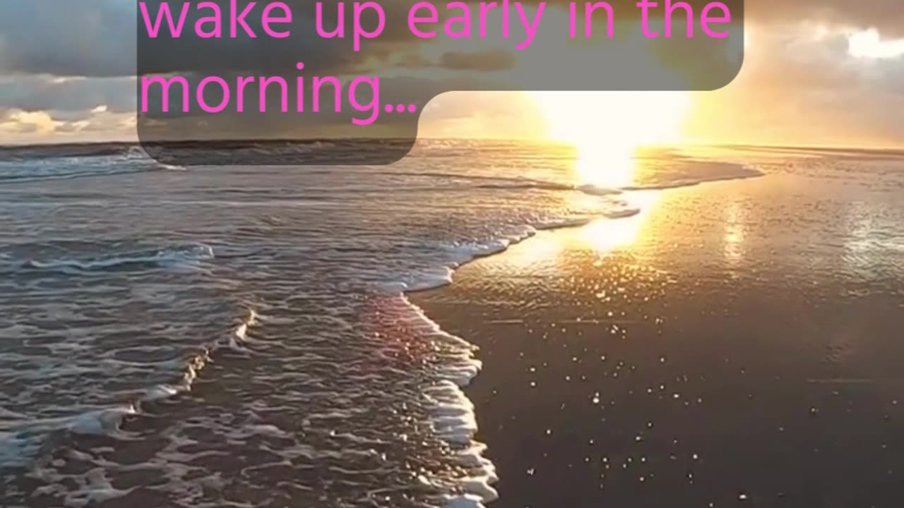 MorningFact (9)