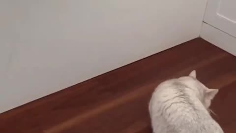 Ooops😮