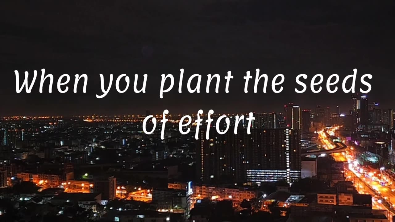 When you plant the seeds of effort.... #rumble #motivation #viral #successquotes #trending