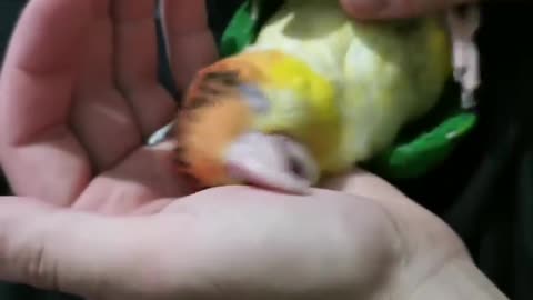 Cuddles time with dad 😍