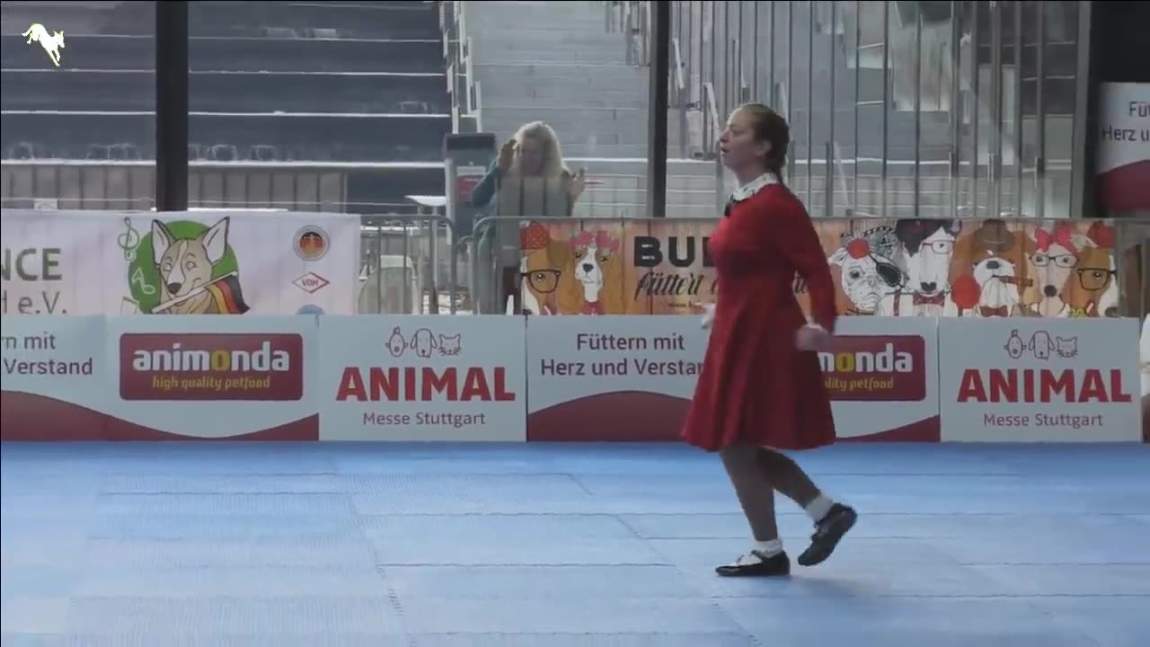 Unbelievable Moves! 🌟 World's Best Dog Dancer Takes the Stage! 🐶💃