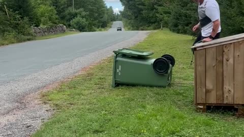 Raccoons Refuge In Garbage Bin