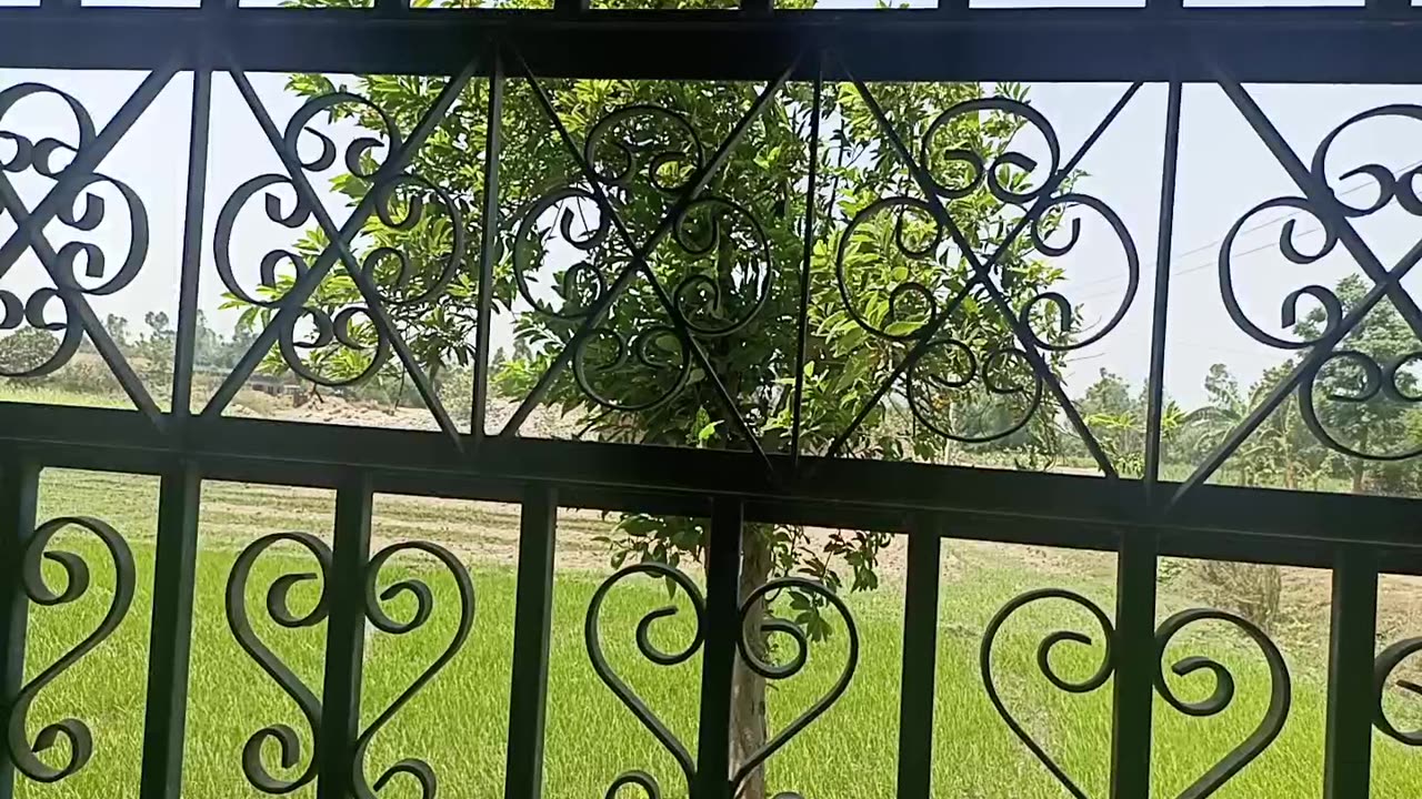 viewwwww