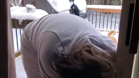 Dog Demands To Play Outside