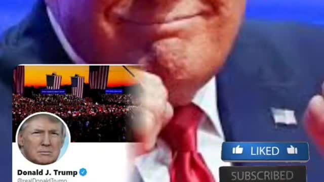 Elon Musk asked Twitter to vote if he should reinstate Donald Trump