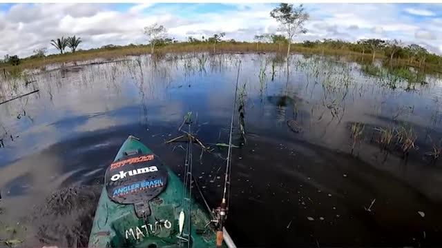 3#prscaria in the amazon you are nervous ? go fishing!