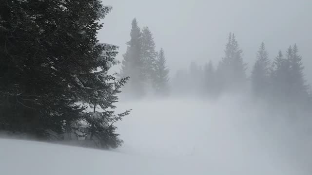 Winter Thunderstorm Sounds: Lightning & Thunder, Howling Wind & Snow Rain for Sleep, Study, Insomnia