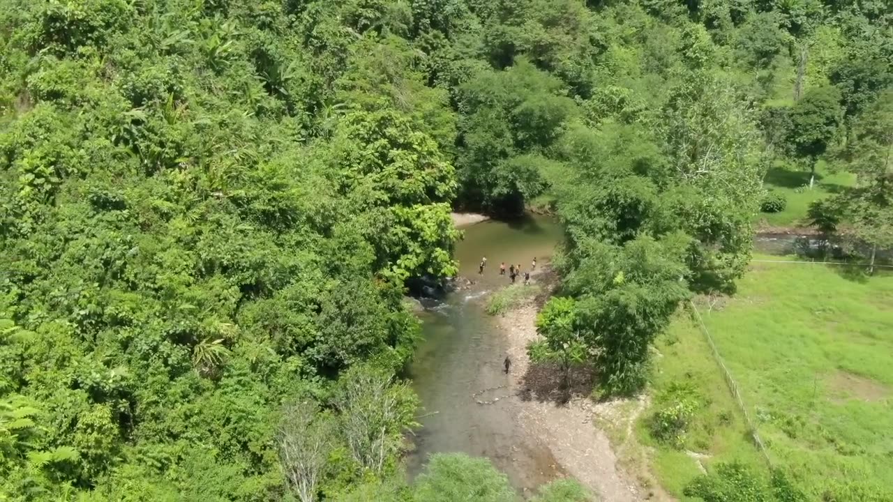 Berpetualang mencari buah hutan, nombak ikan dan perangkap sidat