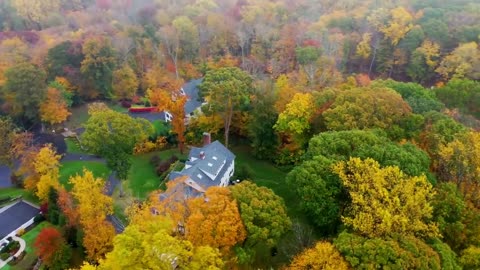 Enchanting Autumn Forests with Beautiful Piano Music