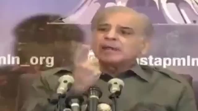 Cherry blossom shehbaz sharif