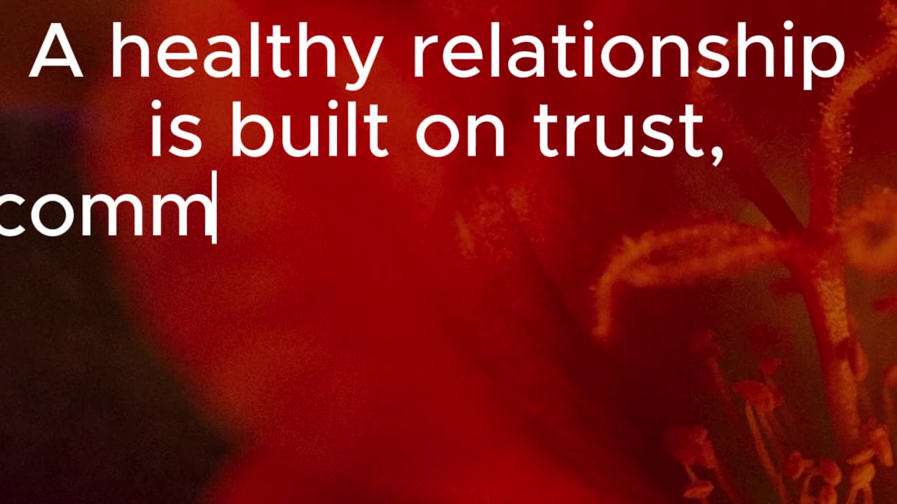 How do you define a healthy relationship? info vista