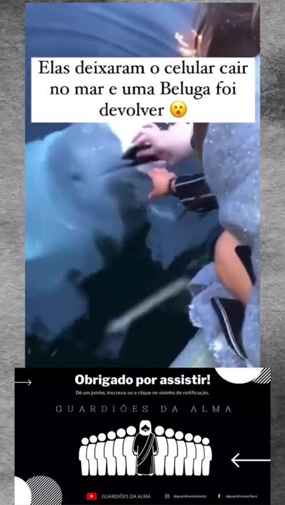 ELE PEGOU O CELULAR NO FUNDO DO MAR?!