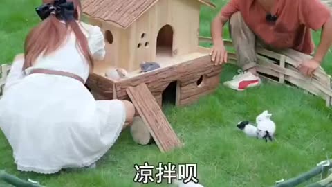 Making Rabbit House #house #viral