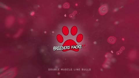 Dog breeding Questions & Answers (Episode #1) - Breeders Hacks