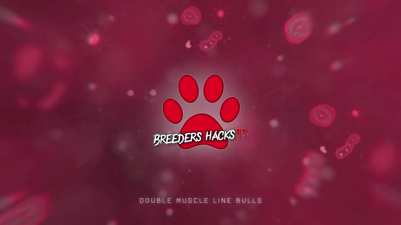 Dog breeding Questions & Answers (Episode #1) - Breeders Hacks