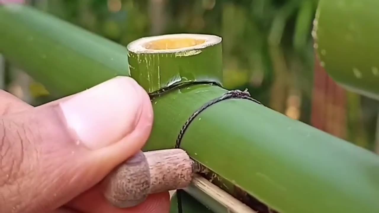 4 Most interesting Bamboo inventor #craft #inventor