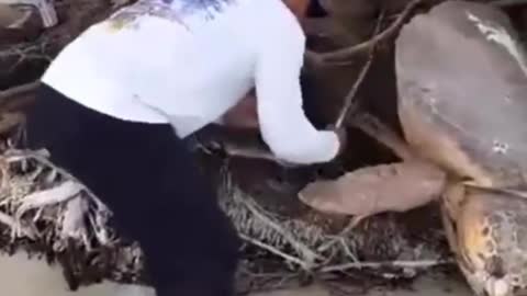 A man helping a sea turtle