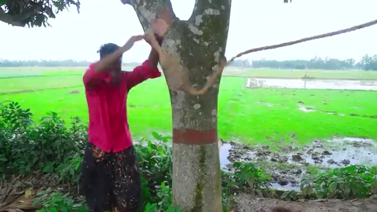 New Funniest Comedy Video 2024 😂 Amazing Totally Funny Video