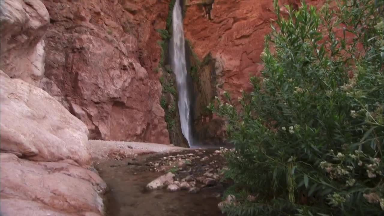 Beautiful Waterfall in Grand Canyon