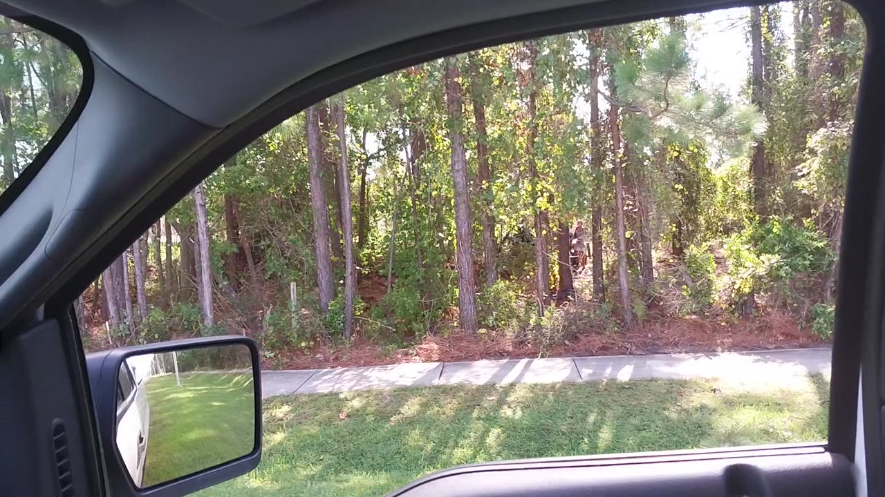 Jacksonville Florida Homeless Camps