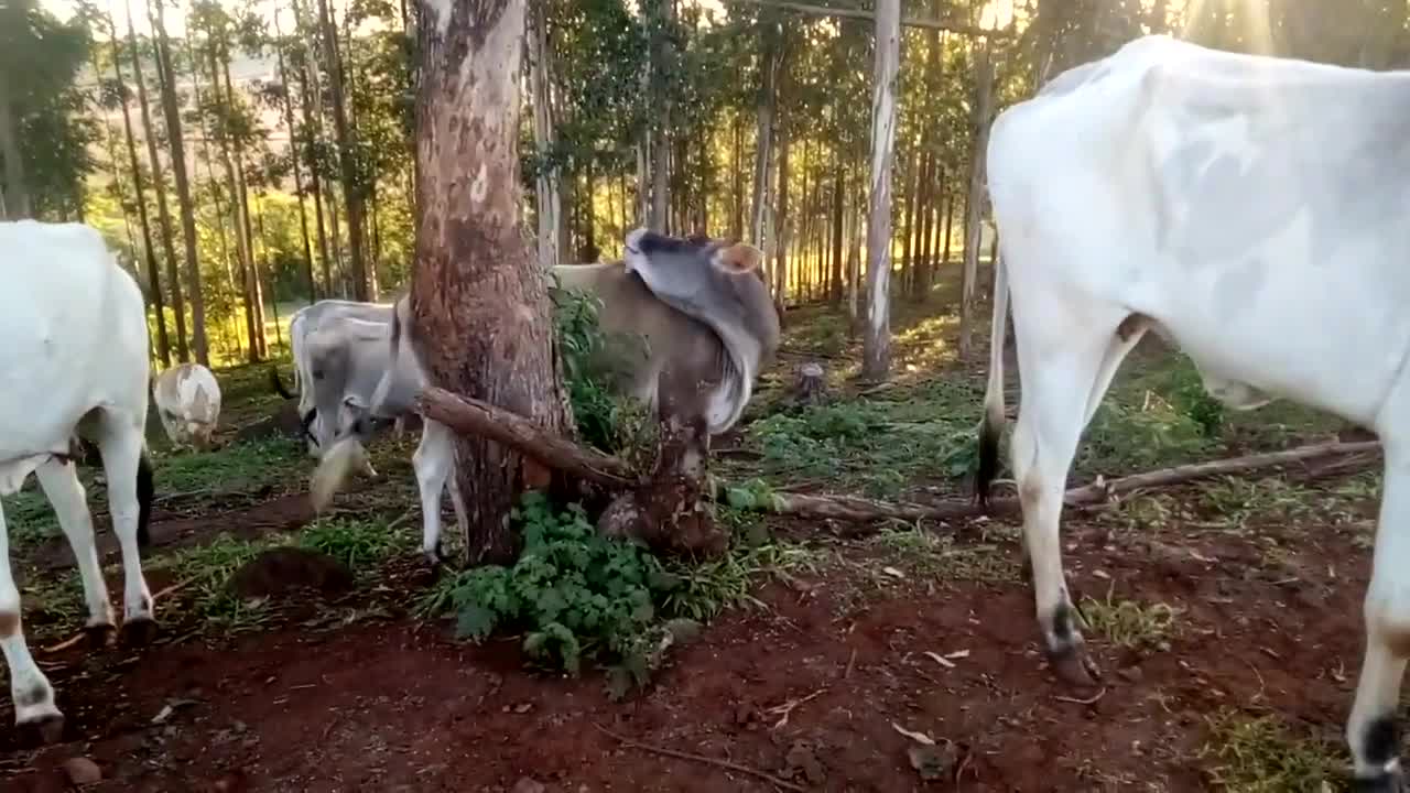 Últimos ajustes, período das águas começando!