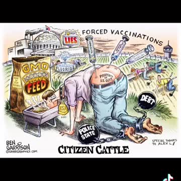 Big Harma or Holistic healing?