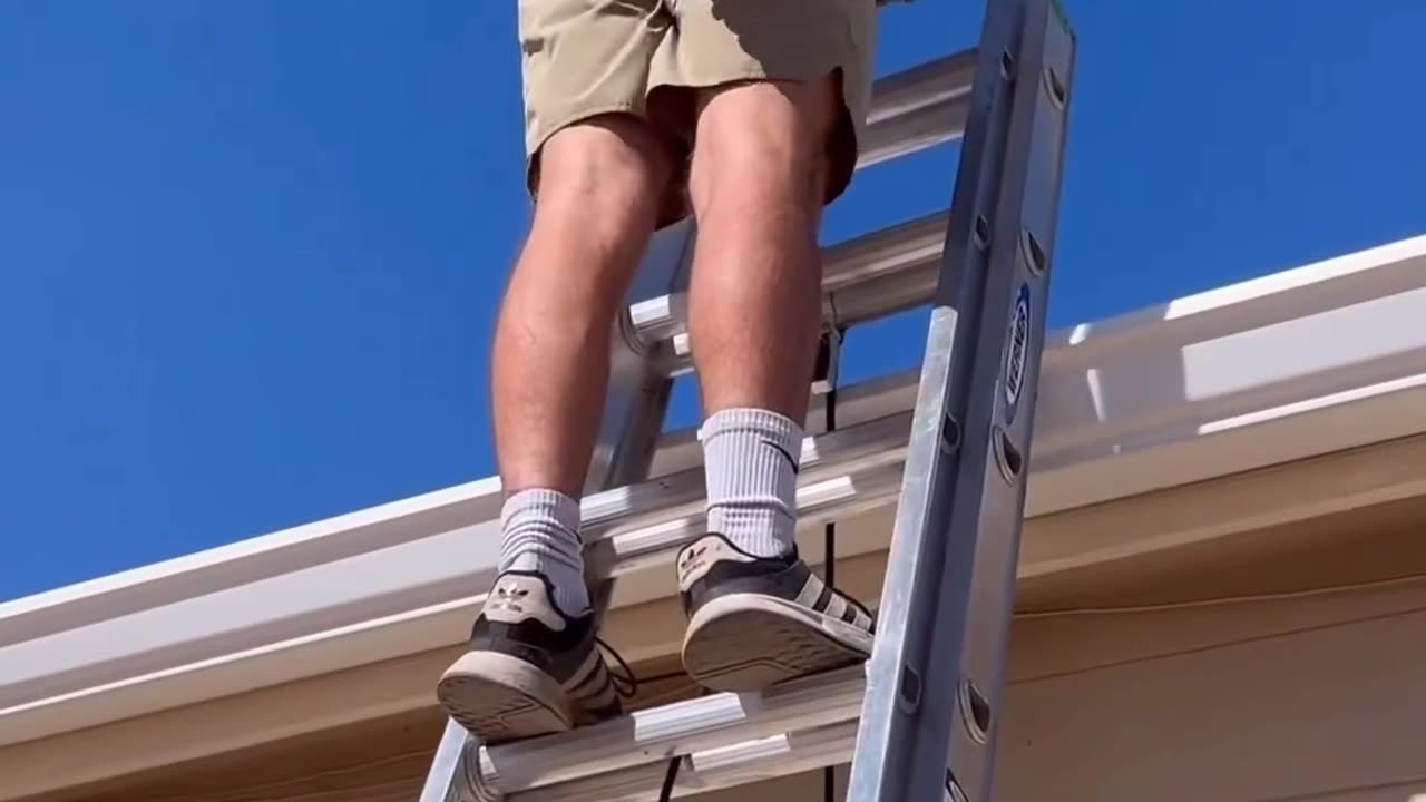 Professionalš¤£