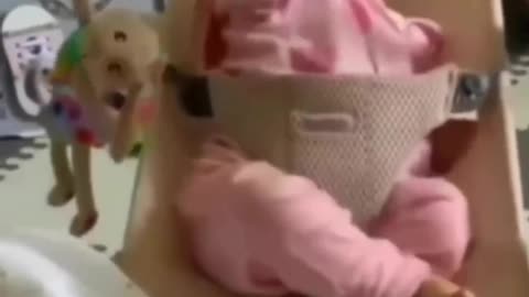 Cute baby videos