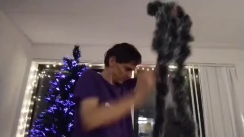 Set up Christmas Tree