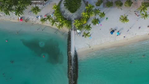 Beach from a bird's eye view