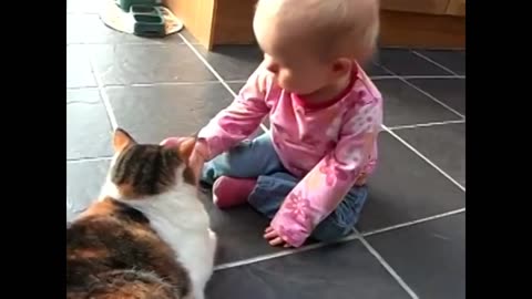 Funny Baby And Cat Video