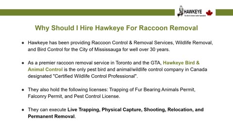 Common Ways to Raccoon Proof Your Home