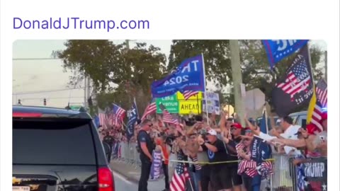 Trump - Taking The Blows